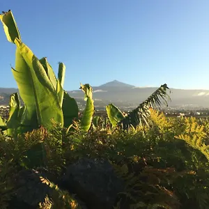 La Plantación _agroturismo La Orotava